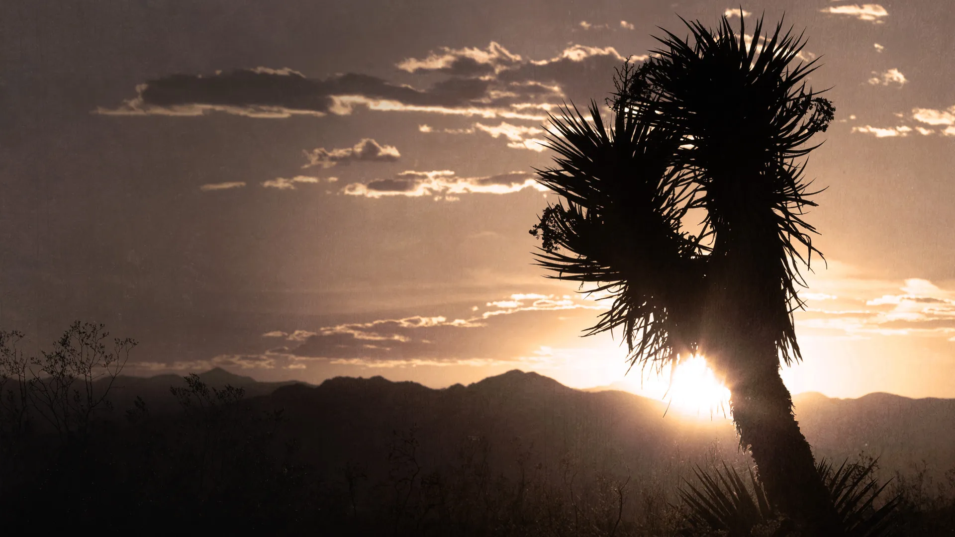 National Park Mysteries