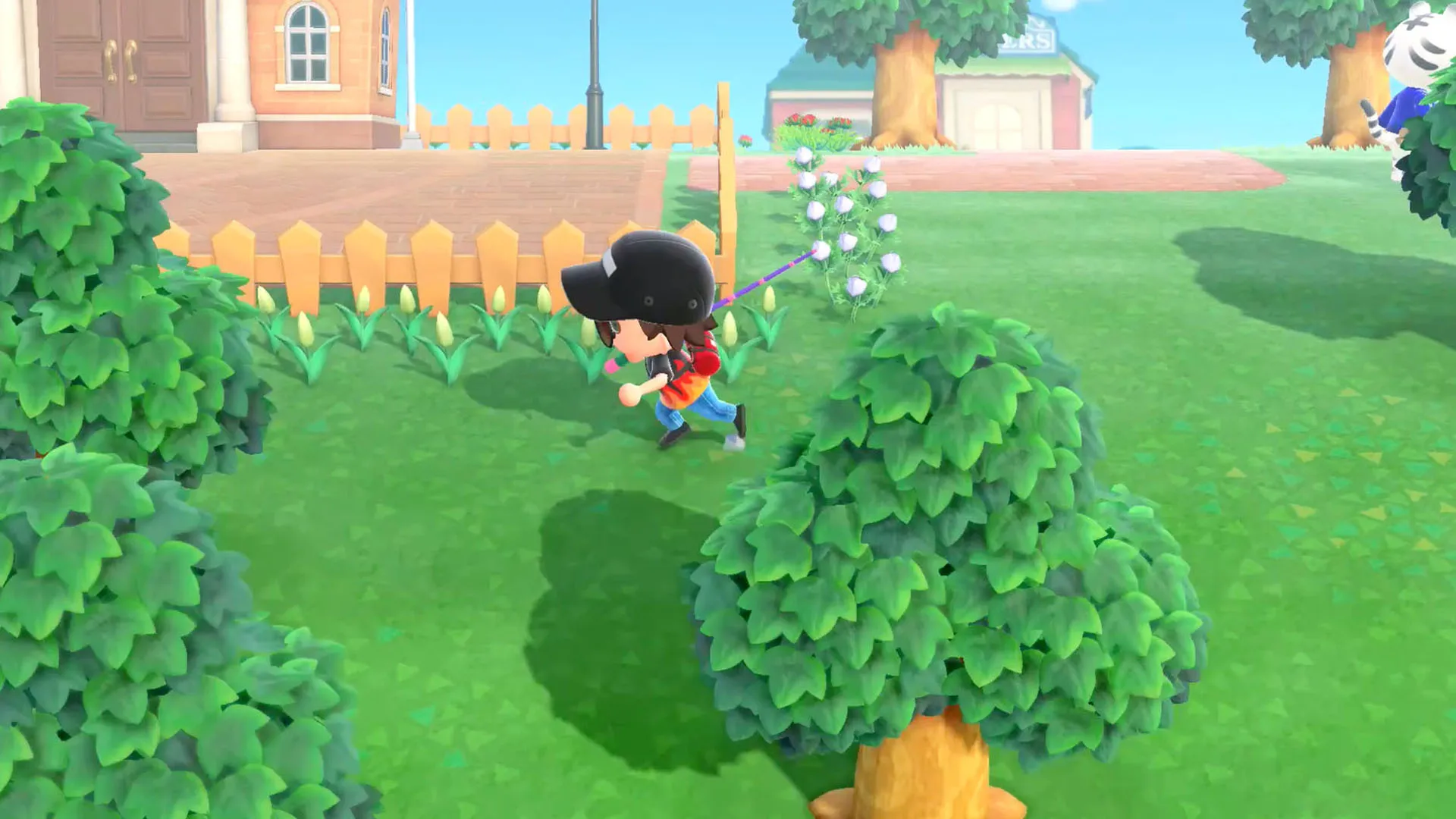 Animal Crossings - New Horizons Gameplay - Zebra Gamer