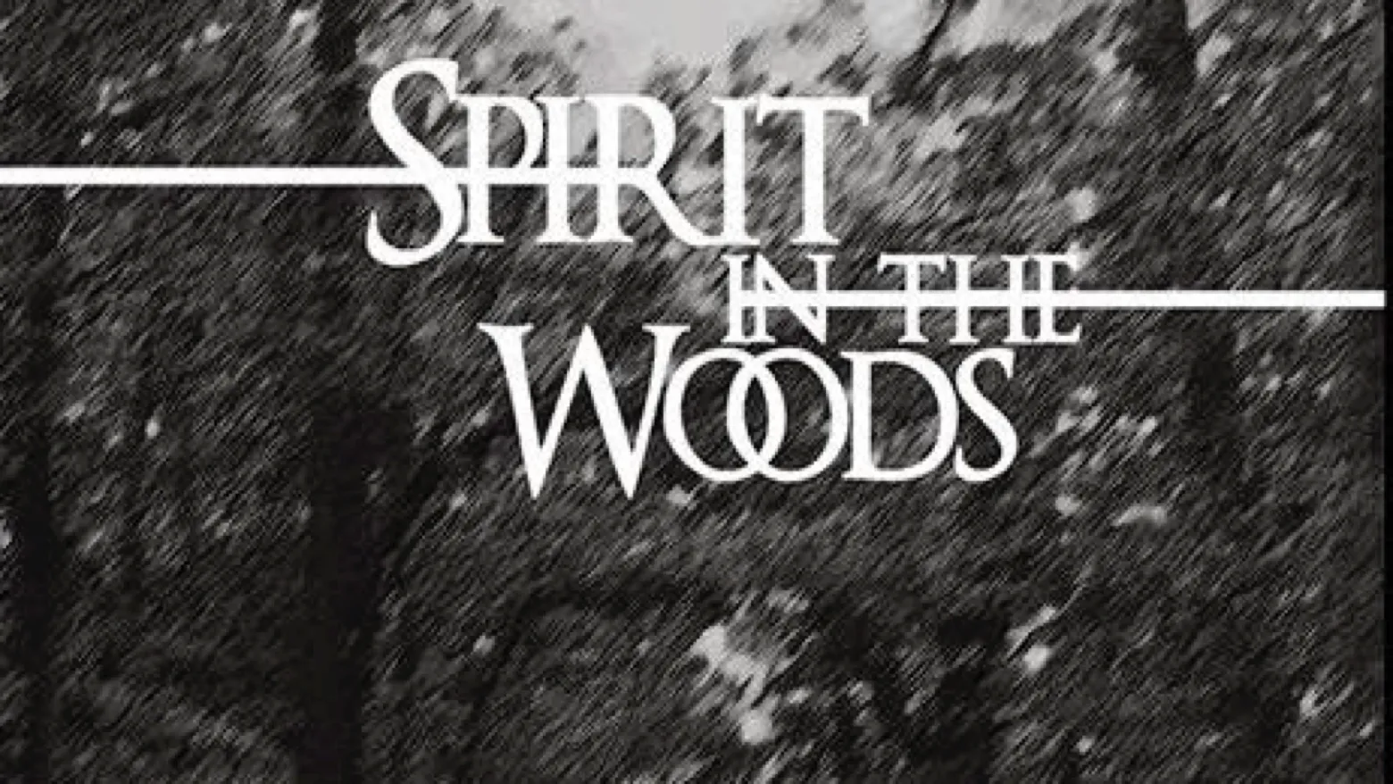 Spirit in the Woods