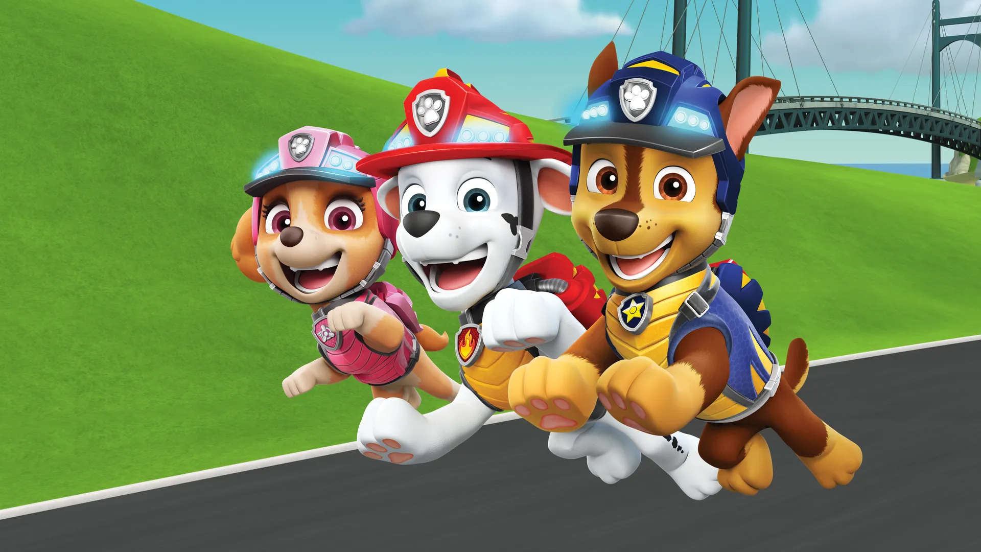 PAW Patrol LT