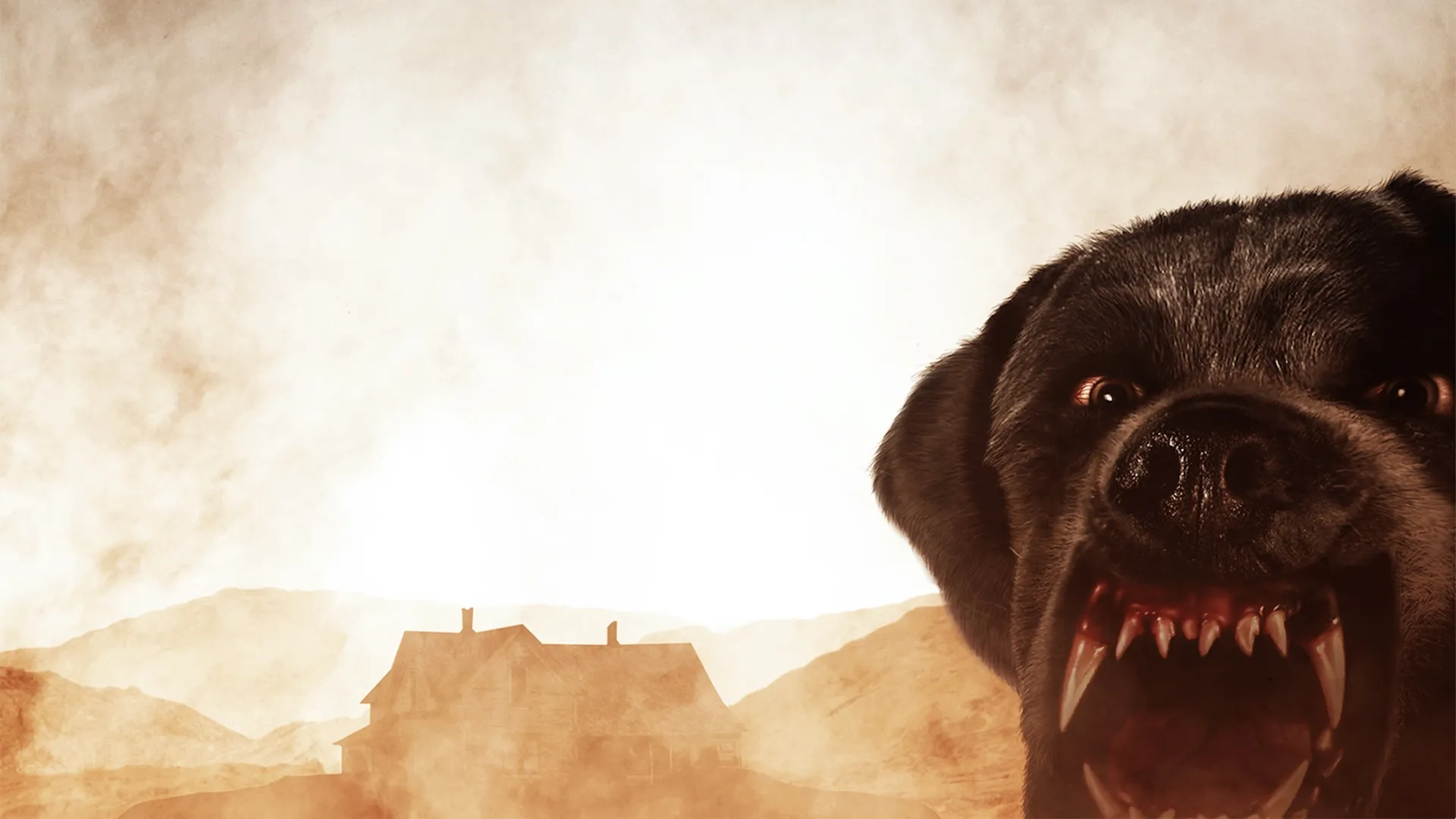 Cujo