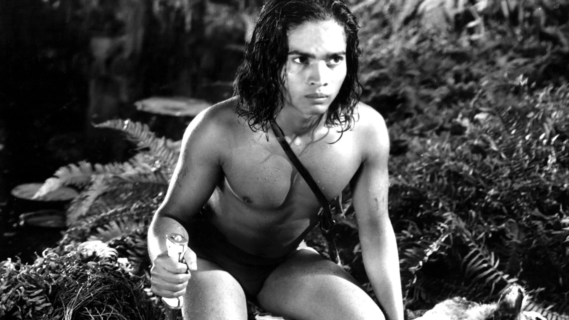 Jungle Book
