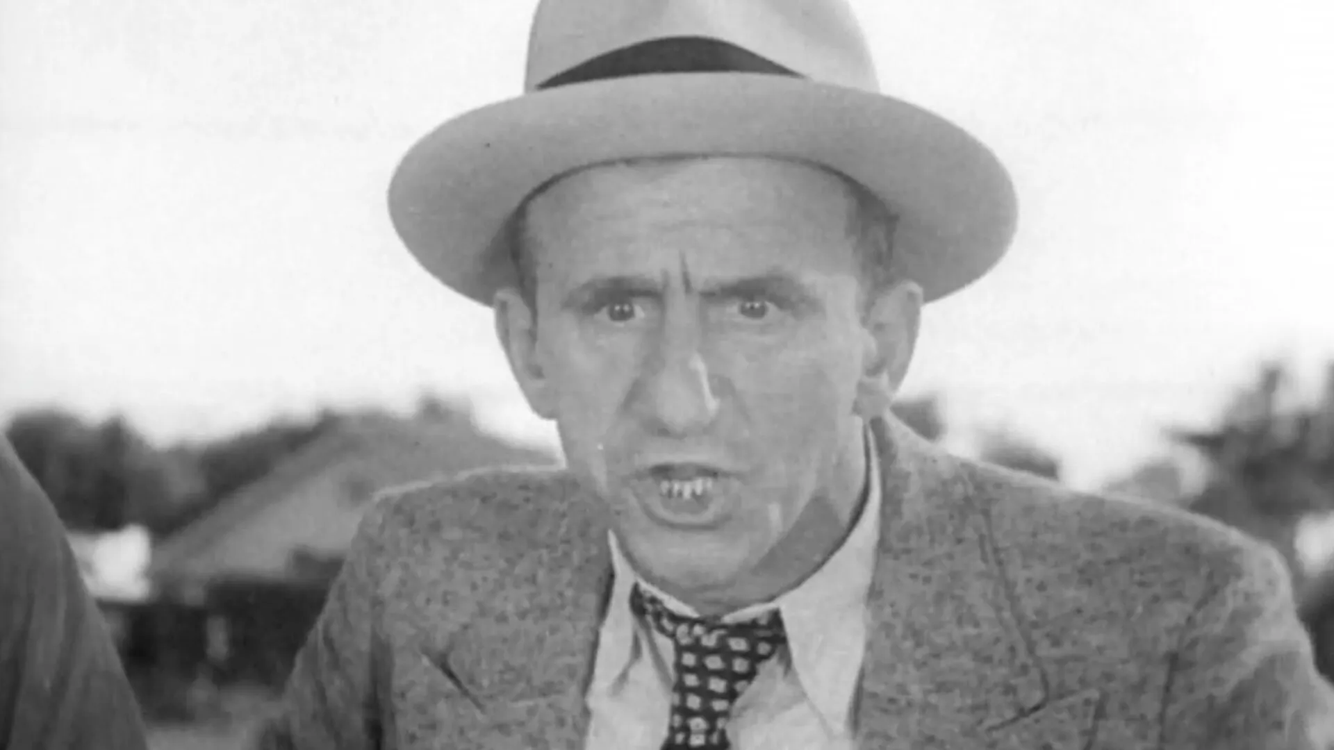 Palooka