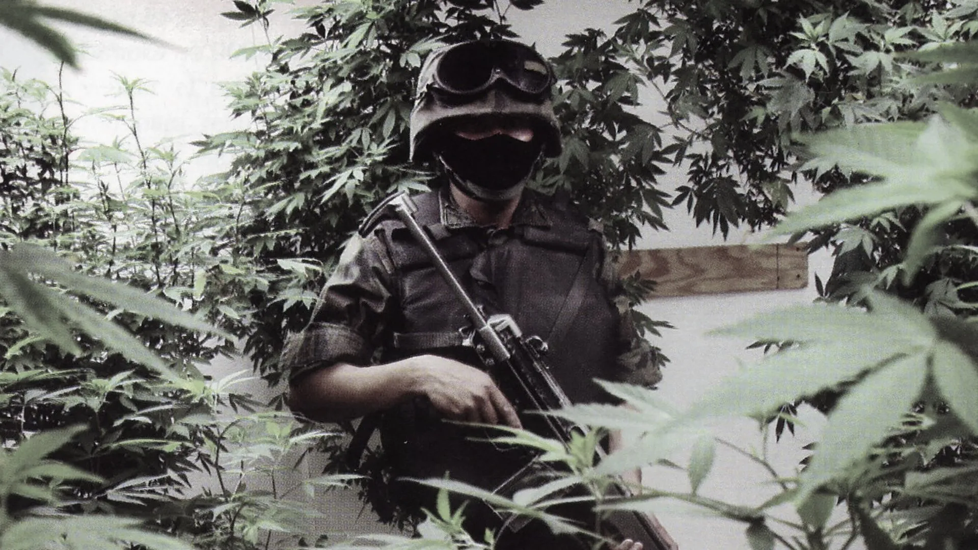 Is This El Chapo? (2014)