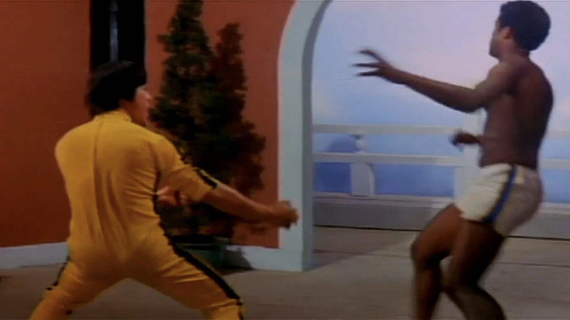 Goodbye Bruce Lee