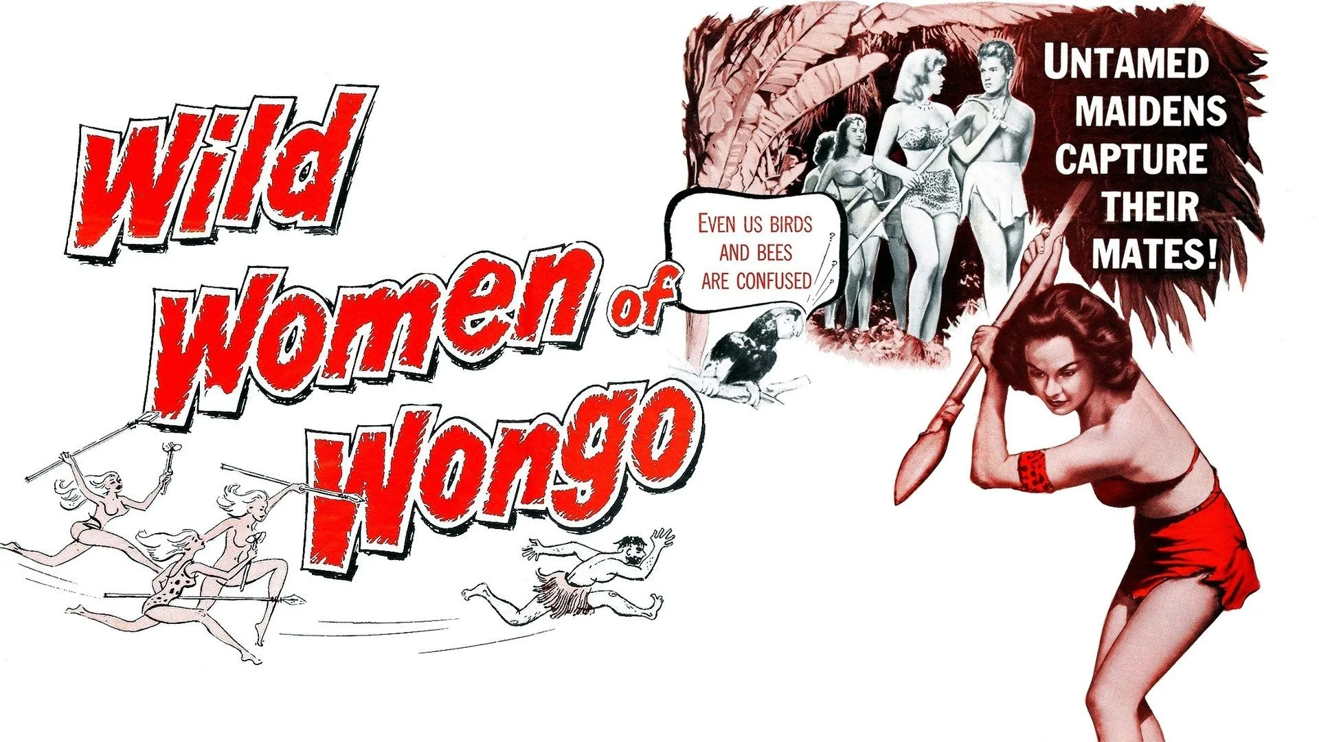 Film Crew: The Wild Women of Wongo (2007)