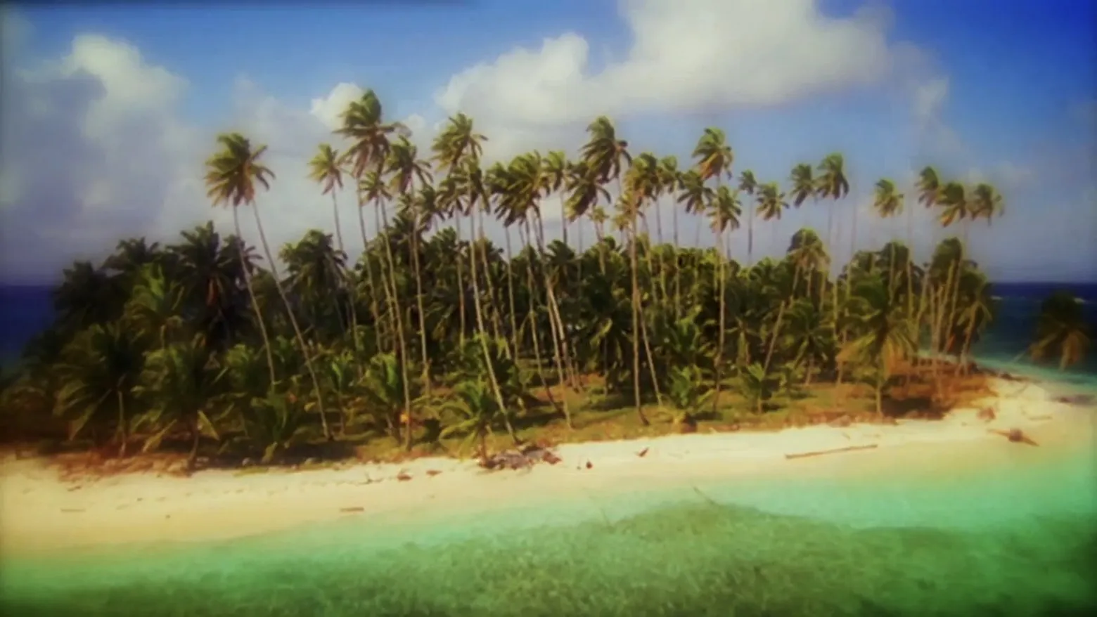 Wildest Islands