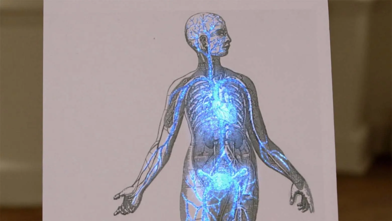 The Fantastical World of Hormones (2014)