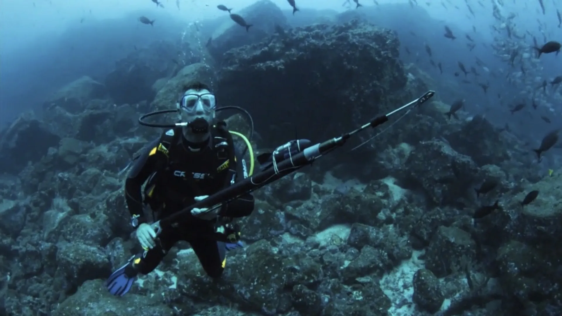 Galapagos Realm of Giant Sharks (2014)