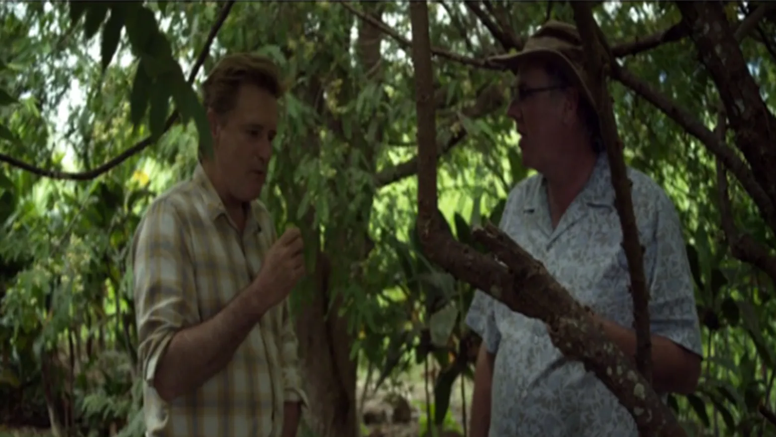 The Fruit Hunters