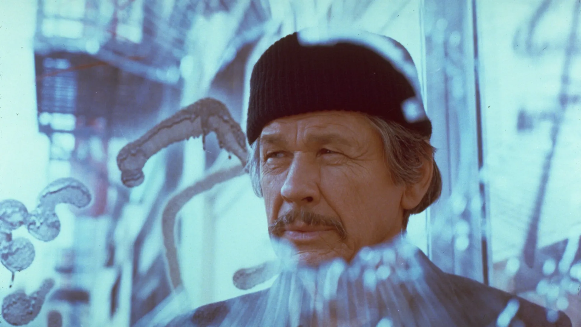 Death Wish 2