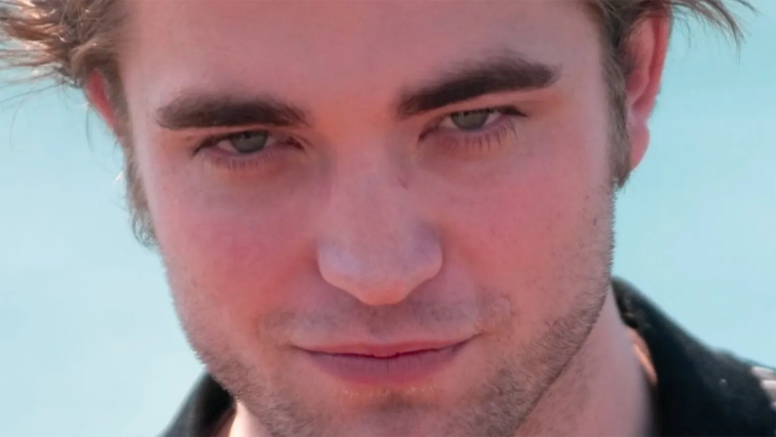 Twilight: Alpha Males (2013)
