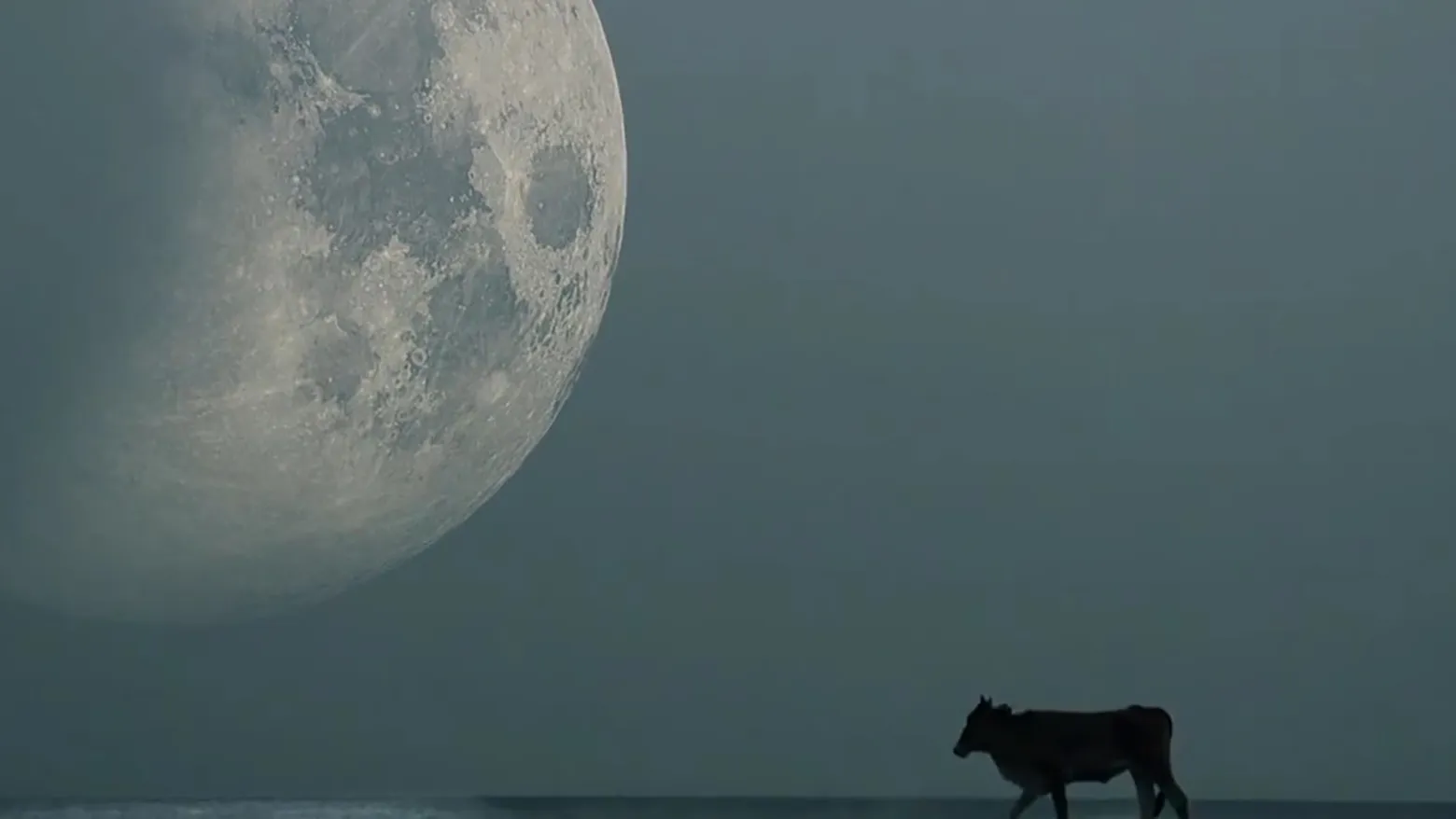 Live from the Moon