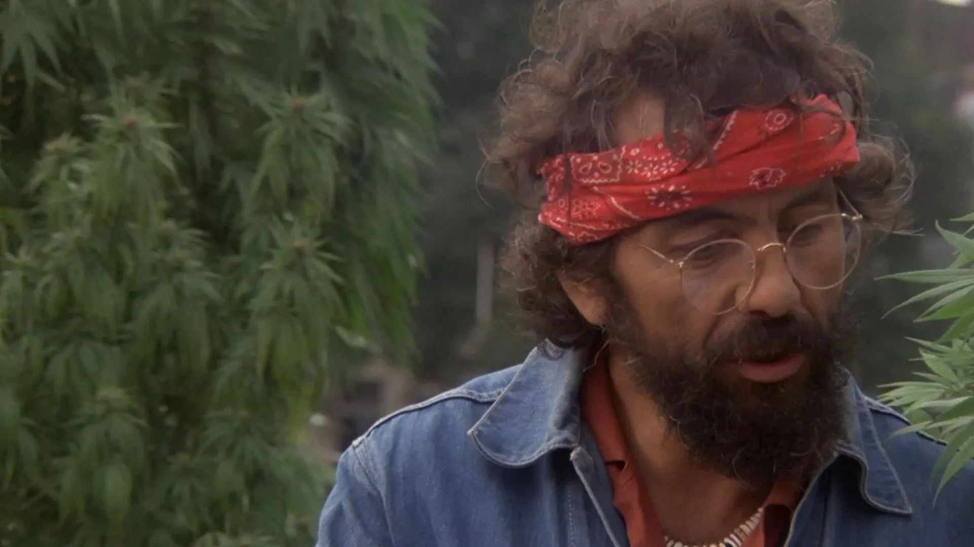 Cheech & Chong's Still Smokin