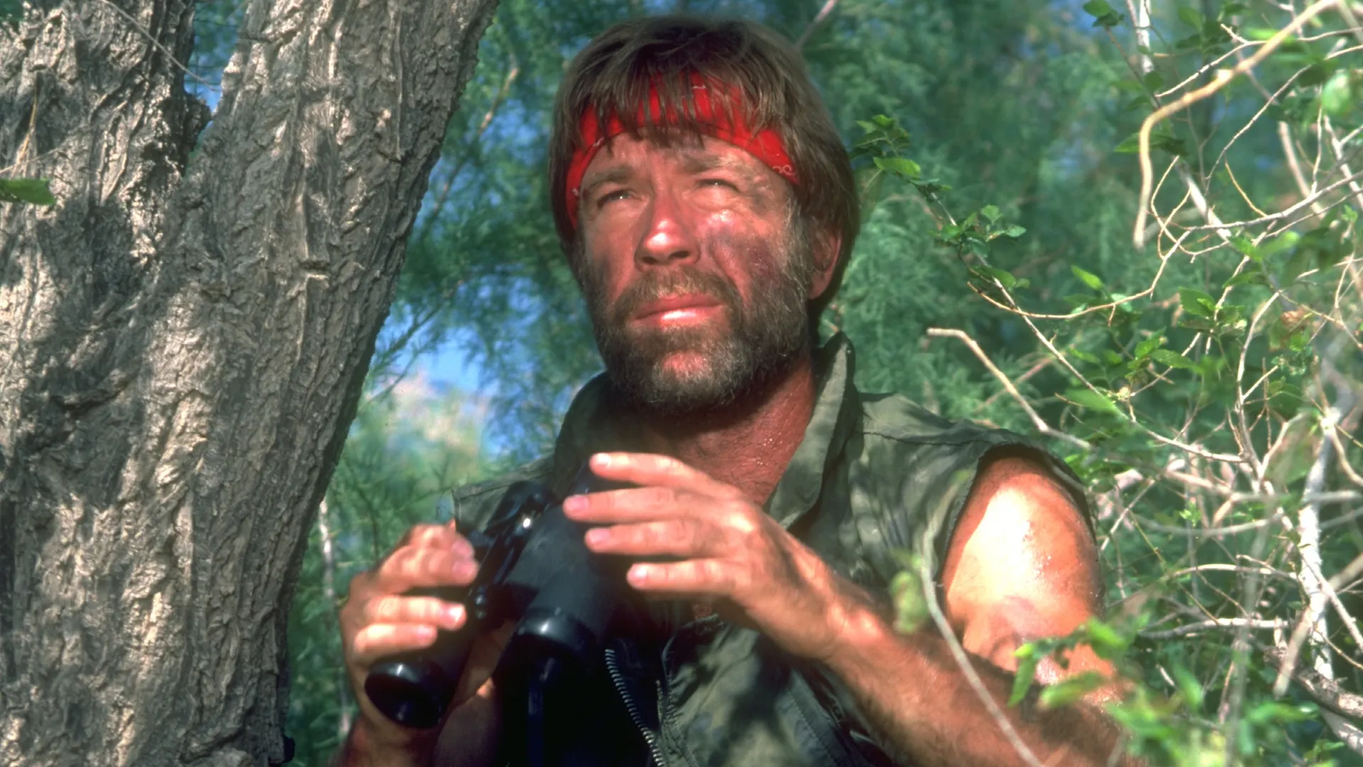 Lone Wolf McQuade