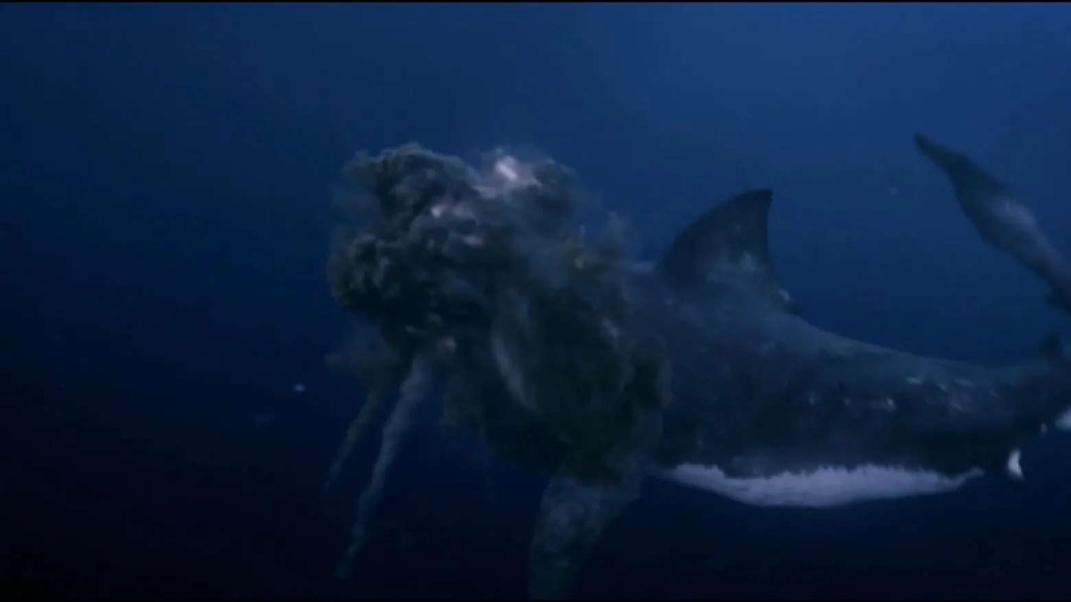 Mega Shark VS Mecha Shark