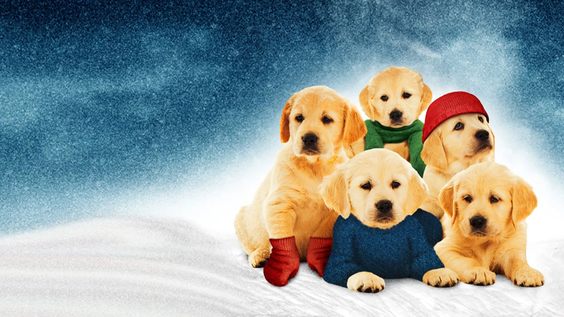 Golden Winter