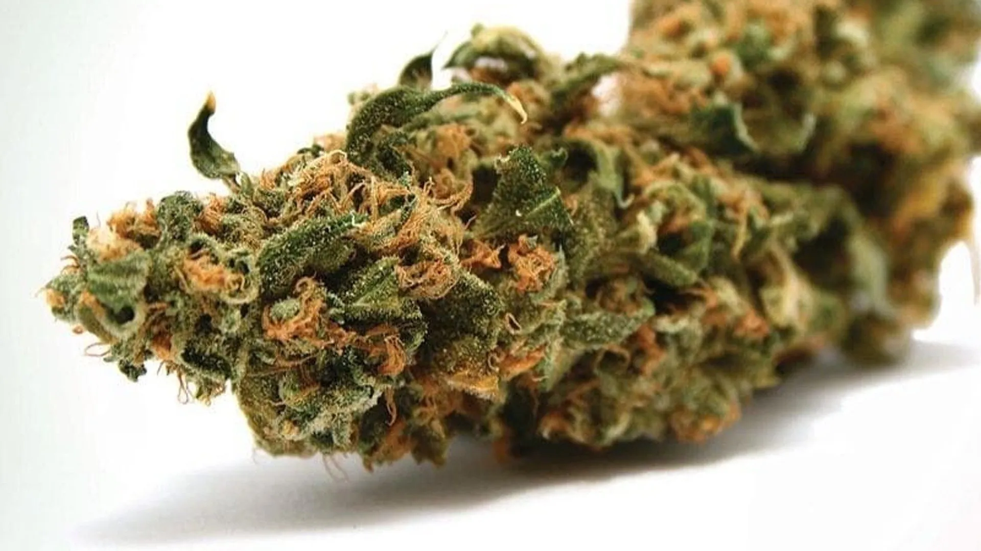 California High