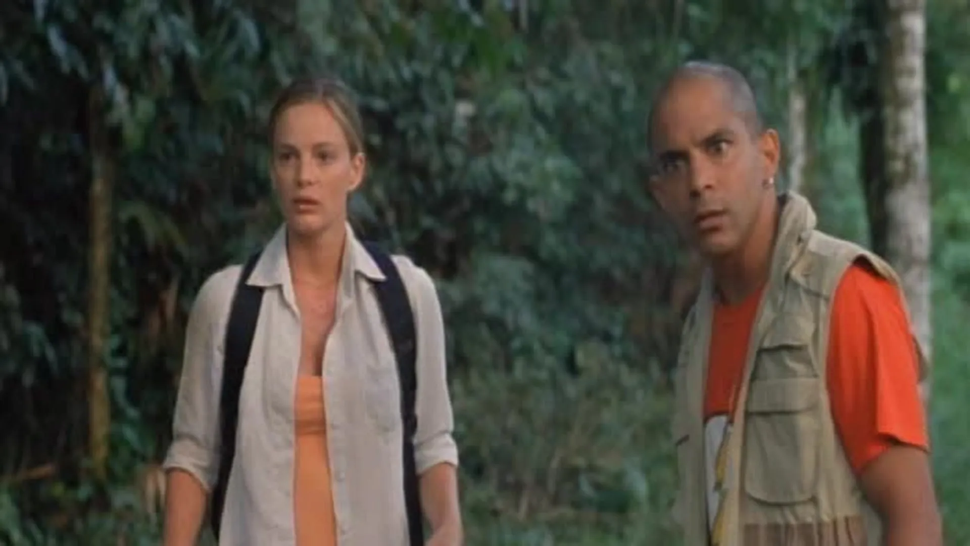 Flying Virus (2008)