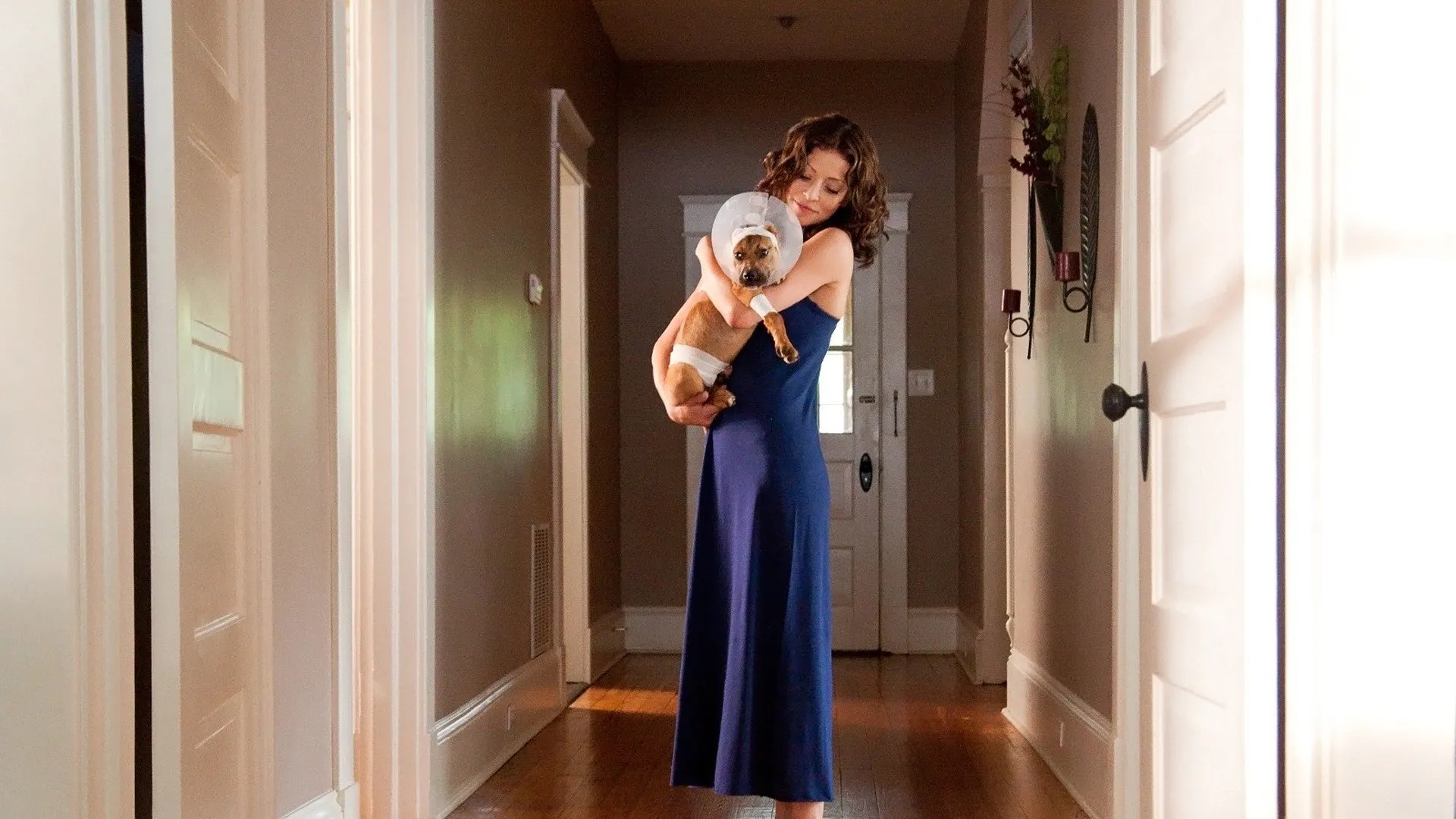 Susie's Hope (2014)