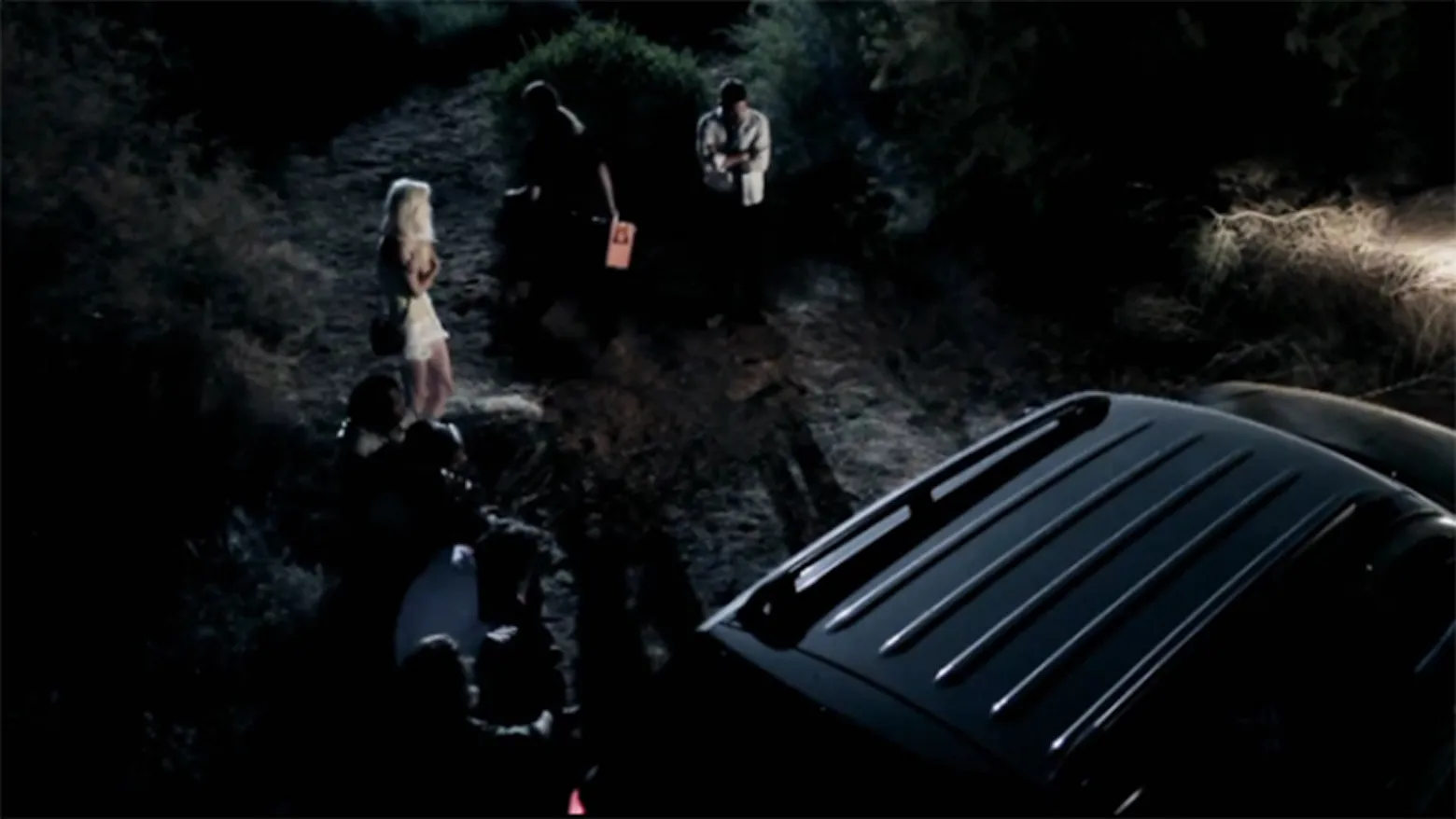 Beauty and the Least (2013)