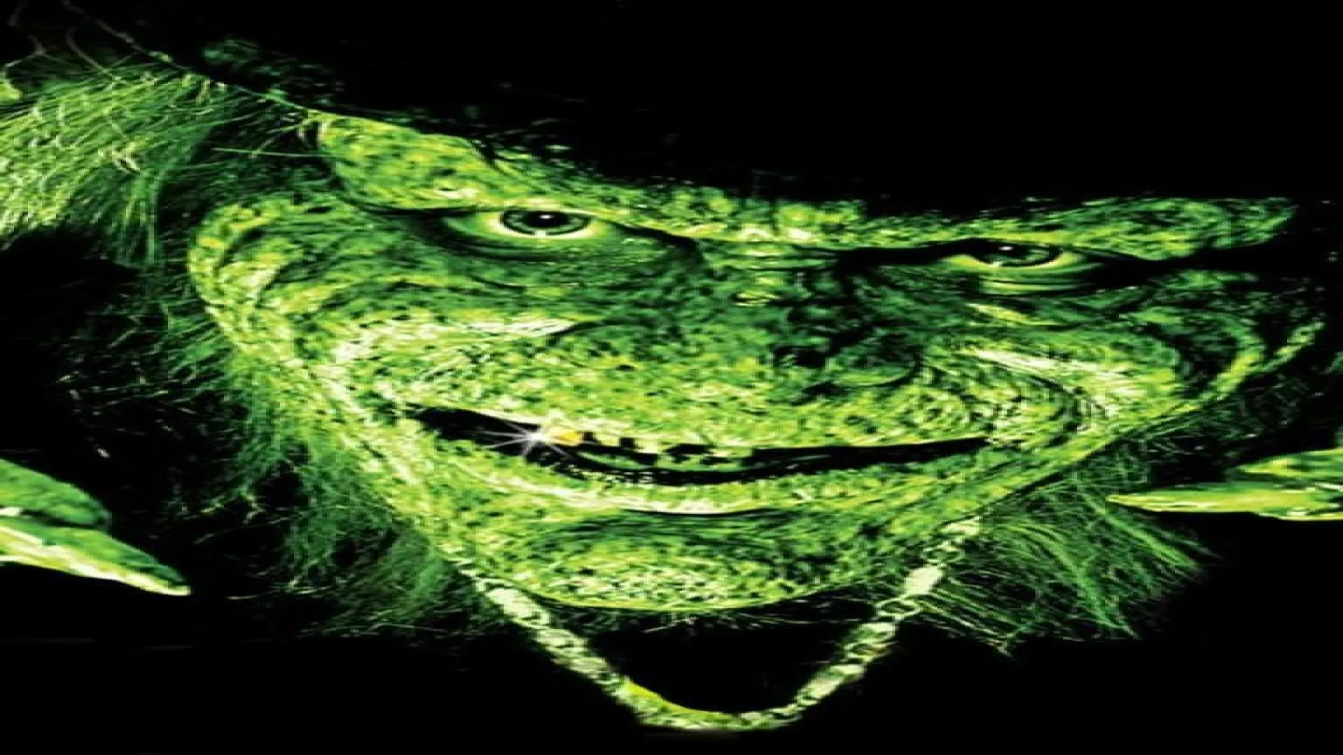 Leprechaun: Back 2 Tha Hood