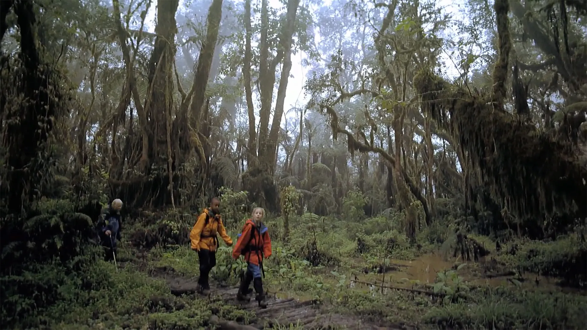 Kilimanjaro: To the Roof of Africa