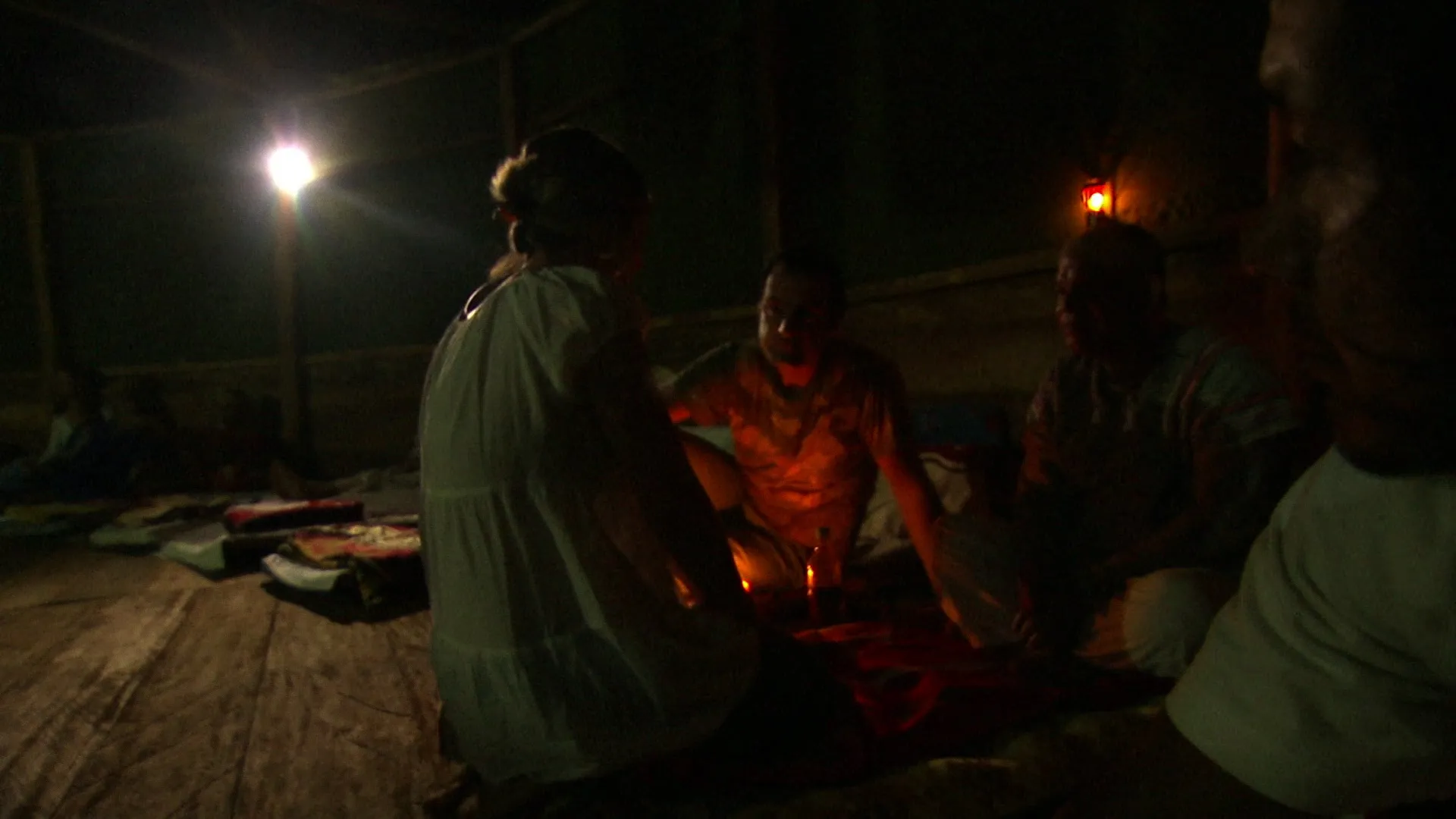 Ayahuasca: Vine of the Soul