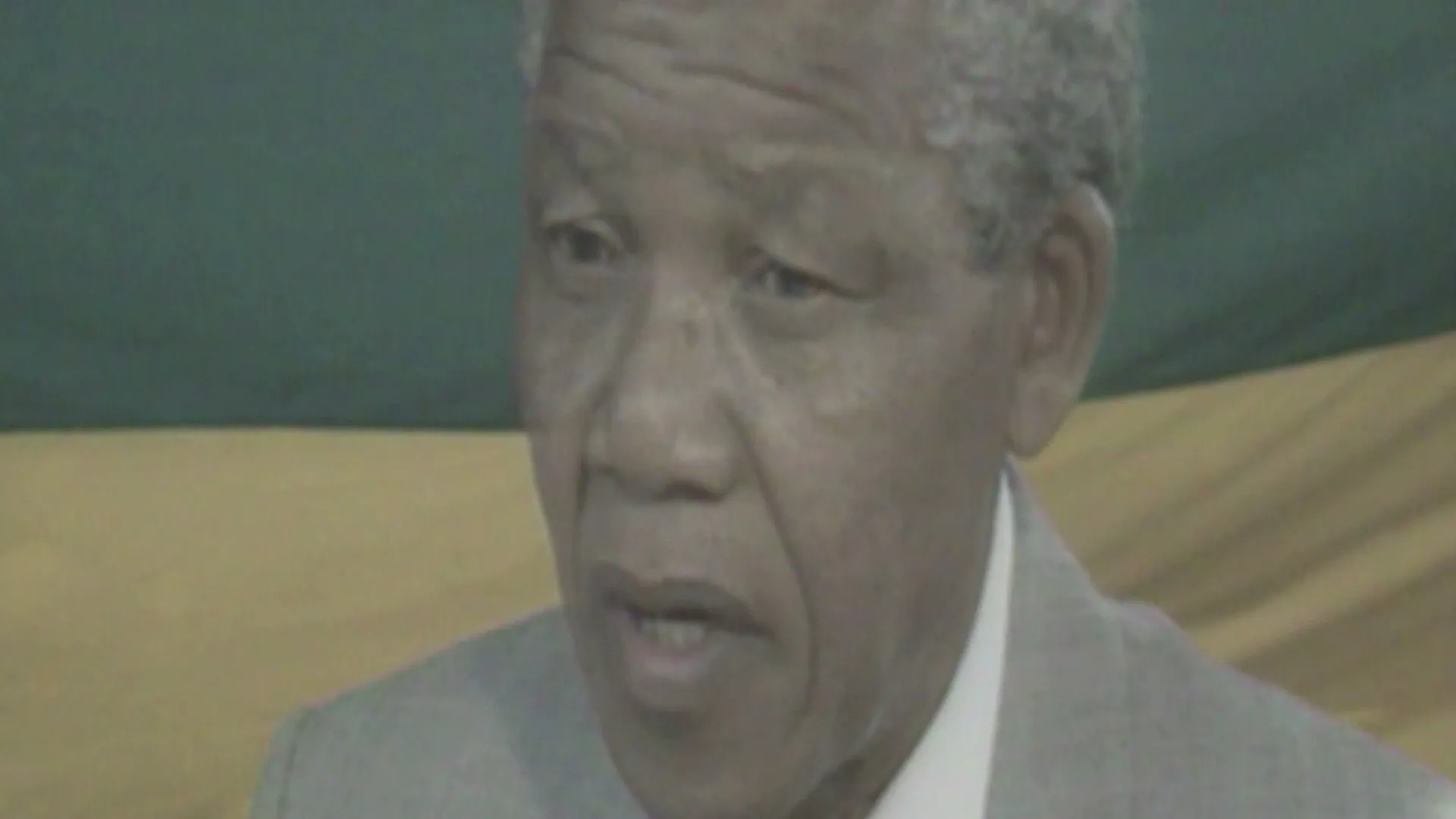 Nelson Mandela Resistance (2017)