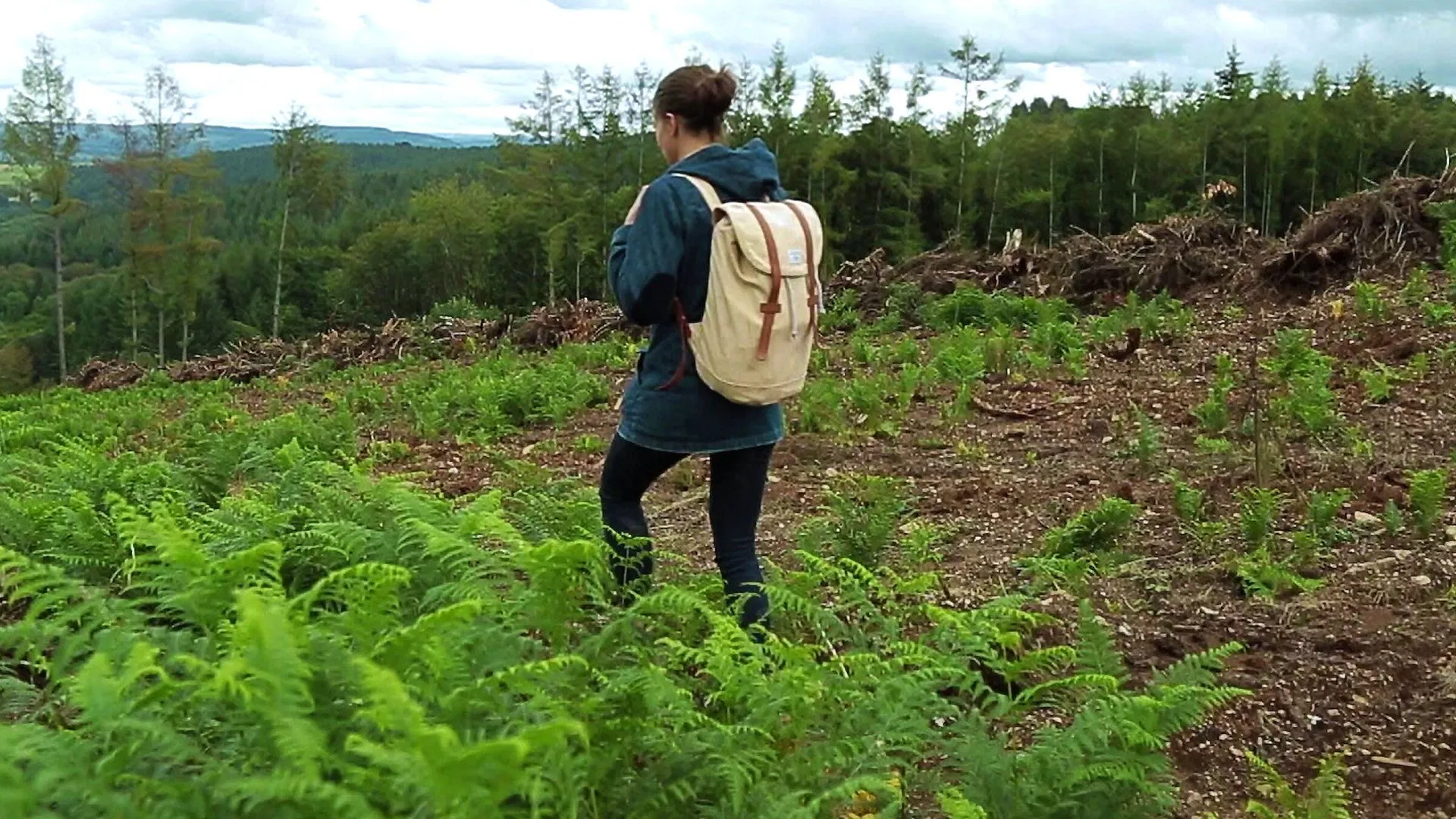 Wood Industry A Business Against Nature (2017)