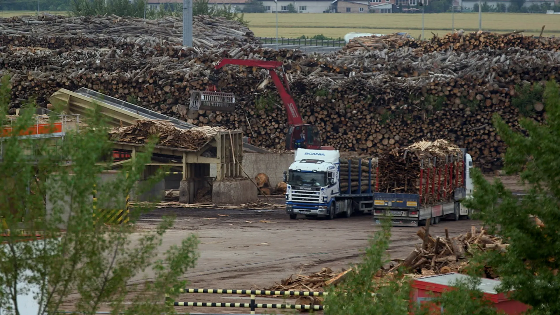 Wood Industry A Business Against Nature (2017)