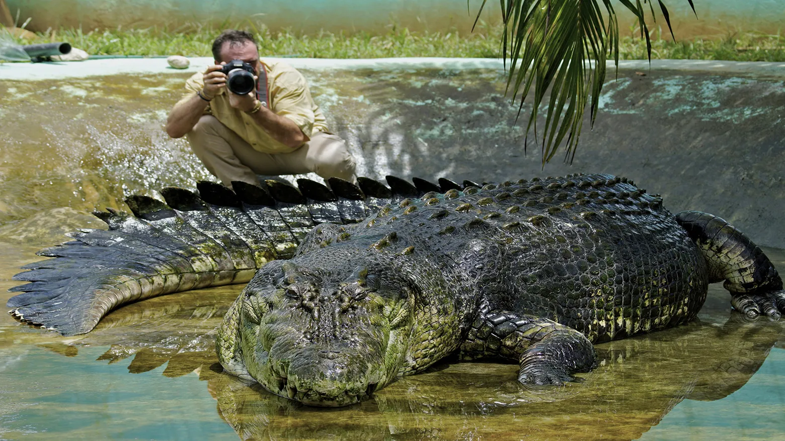 Chasing the Giant Croc (2013)