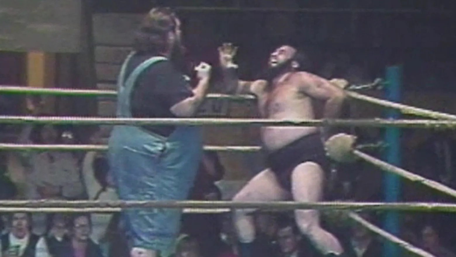 The Glory Days Of Wrestling (2008)