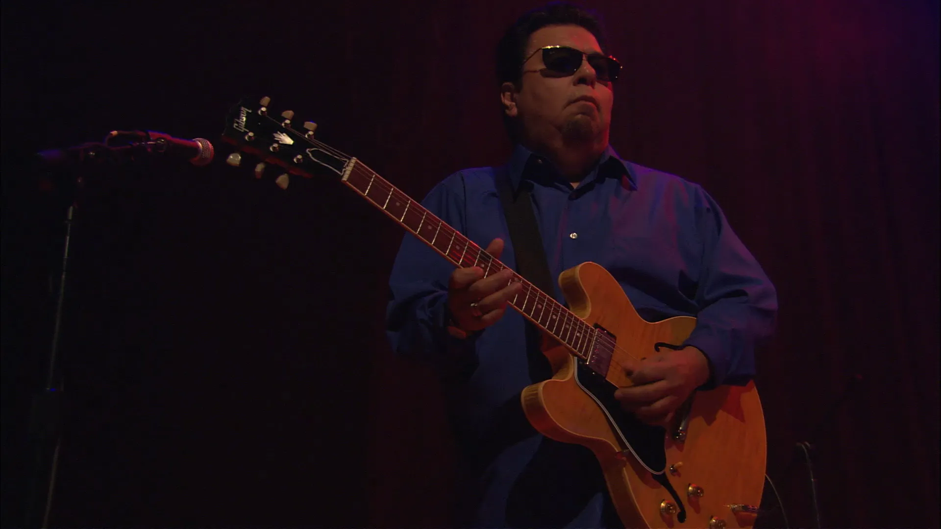 Los Lobos: Kiko Live (2006)