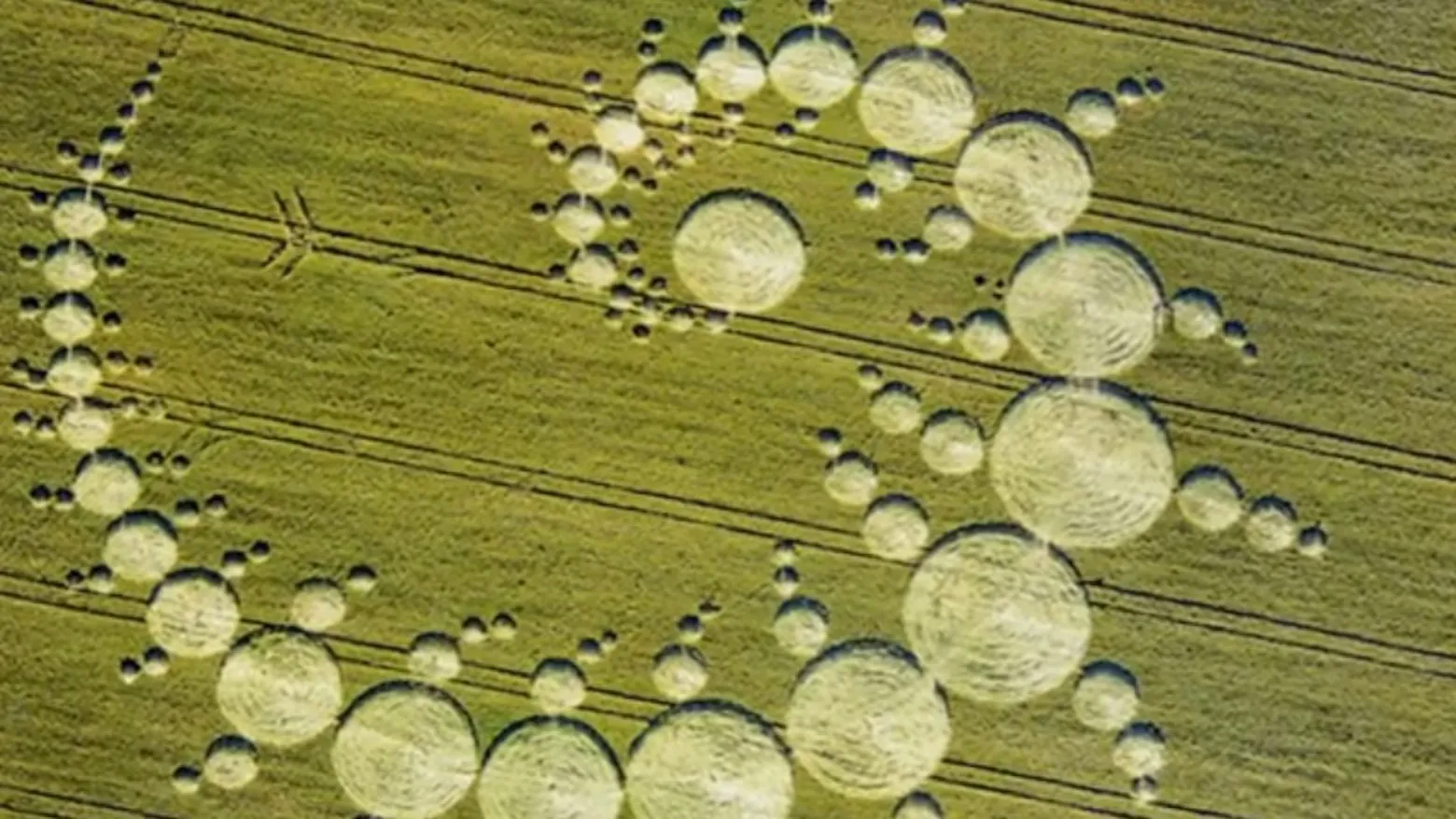 A Field Full of Secrets
