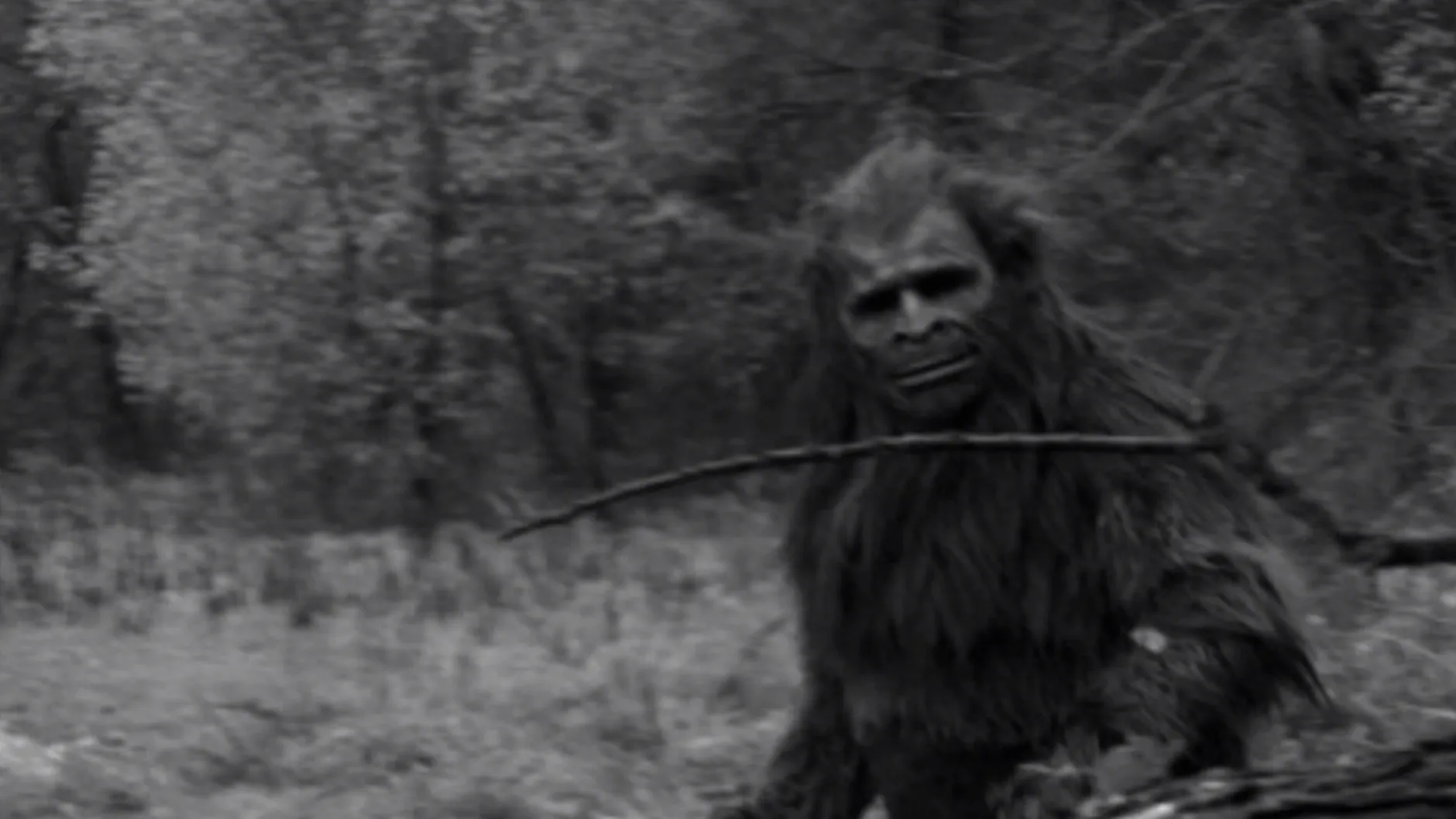 Alien Paranormal: Bigfoot, UFOs and the Men in Black (2013)