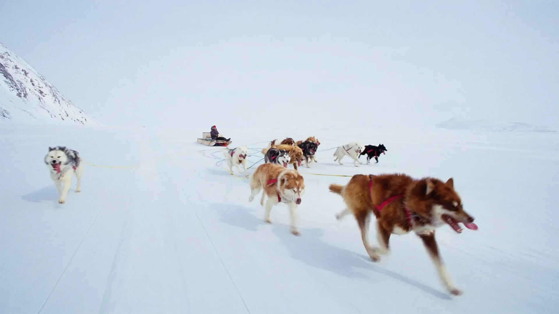 Wonders of the Arctic
