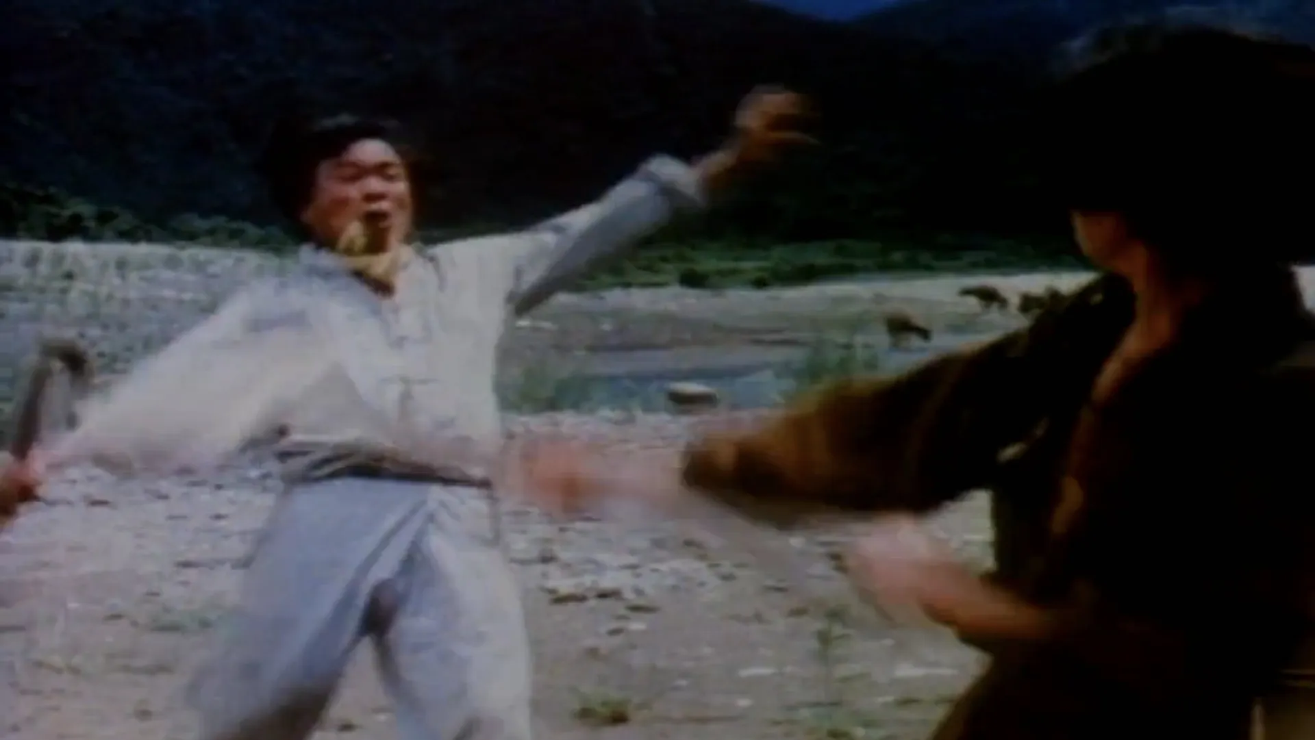 Kung Fu Gold