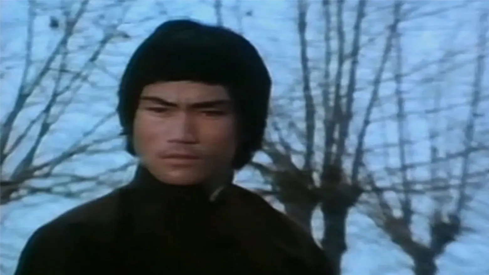 The Real Bruce Lee (1973)