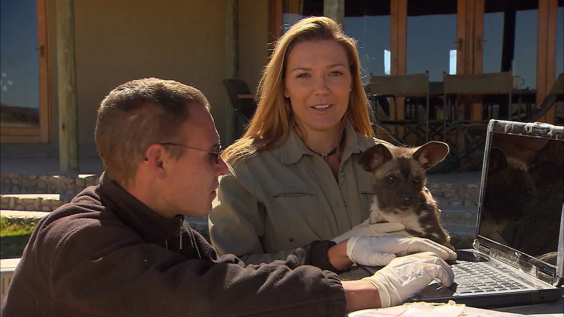 Wild Animal Orphans