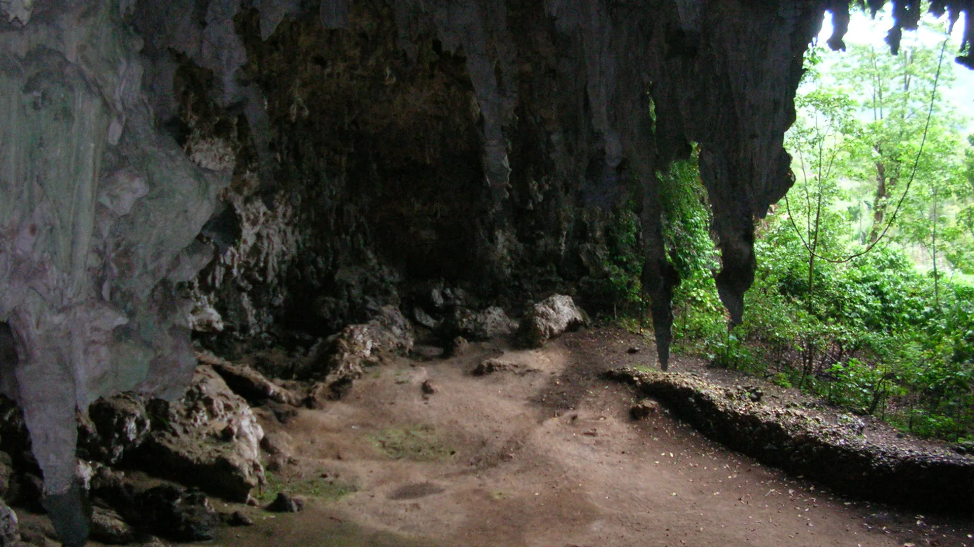 Wallacea – Expedition zur Wiege der Meeresfauna