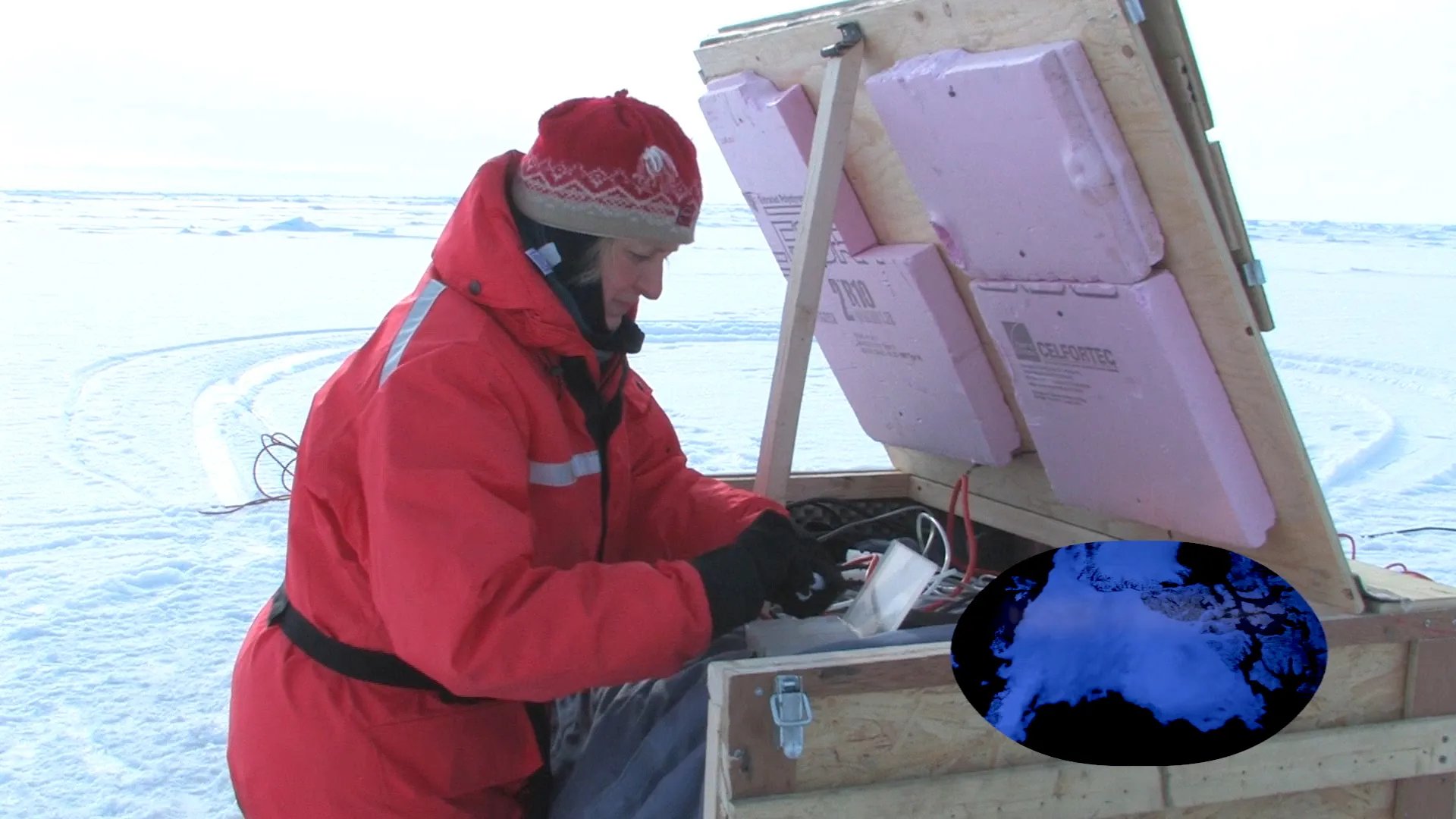 The Arctic Expedition: A Historic Journey To Find The Truth