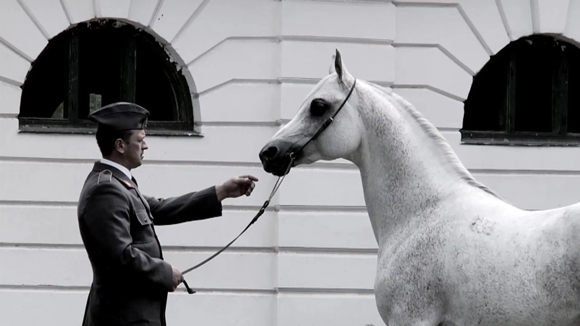 Path to Glory: Spirit of the Arabian Horse