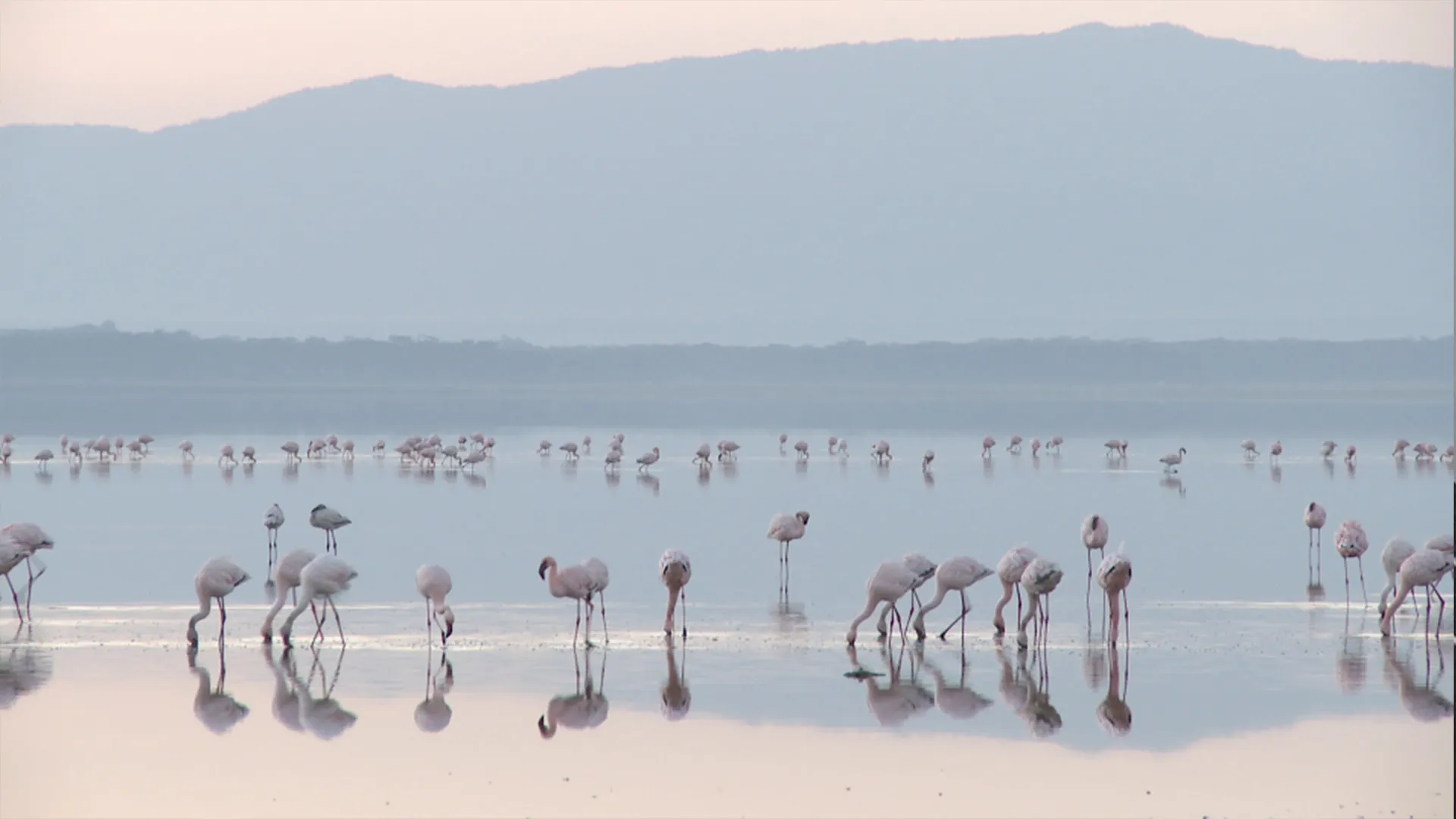 My African Safari