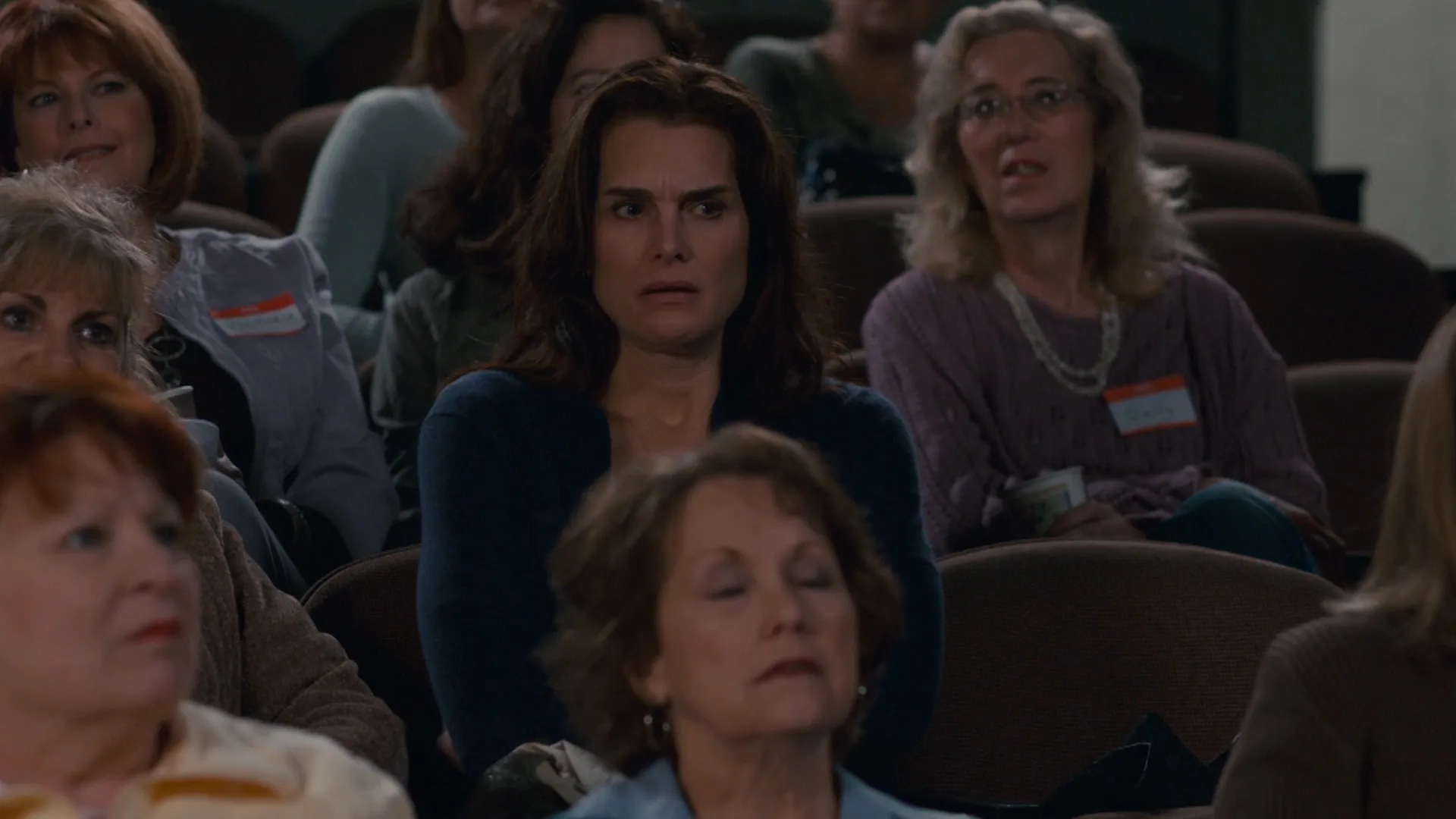 The Hot Flashes