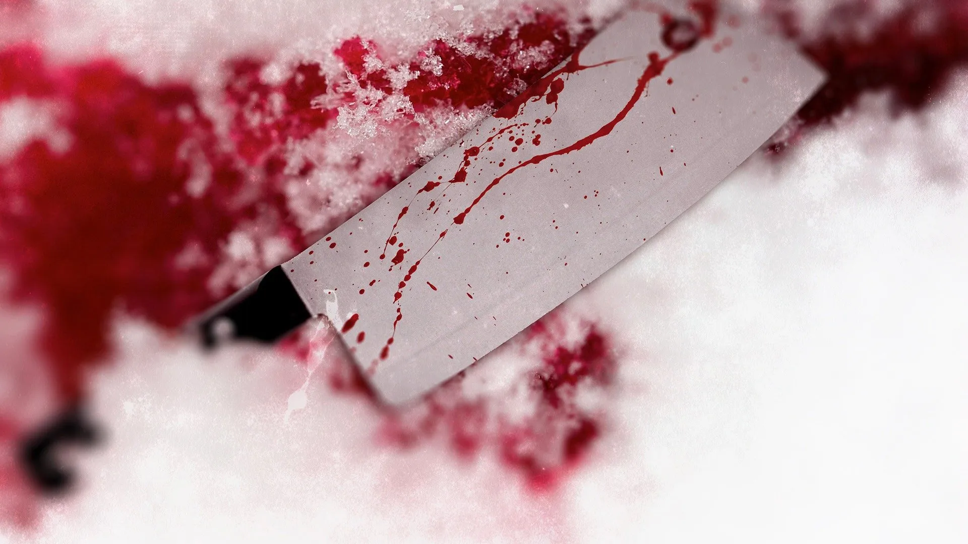 True Nordic Crime