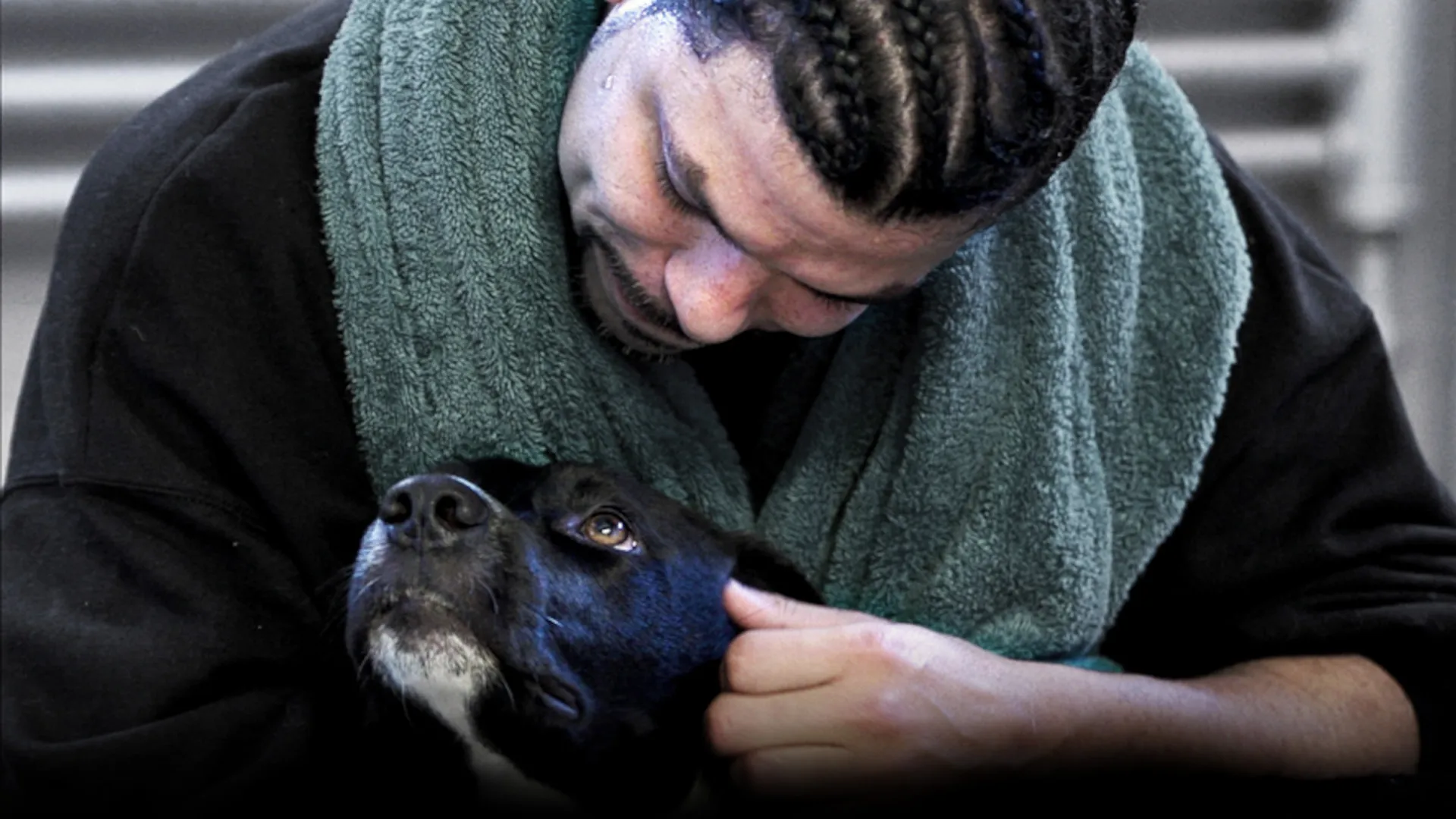 Dogs on the Inside