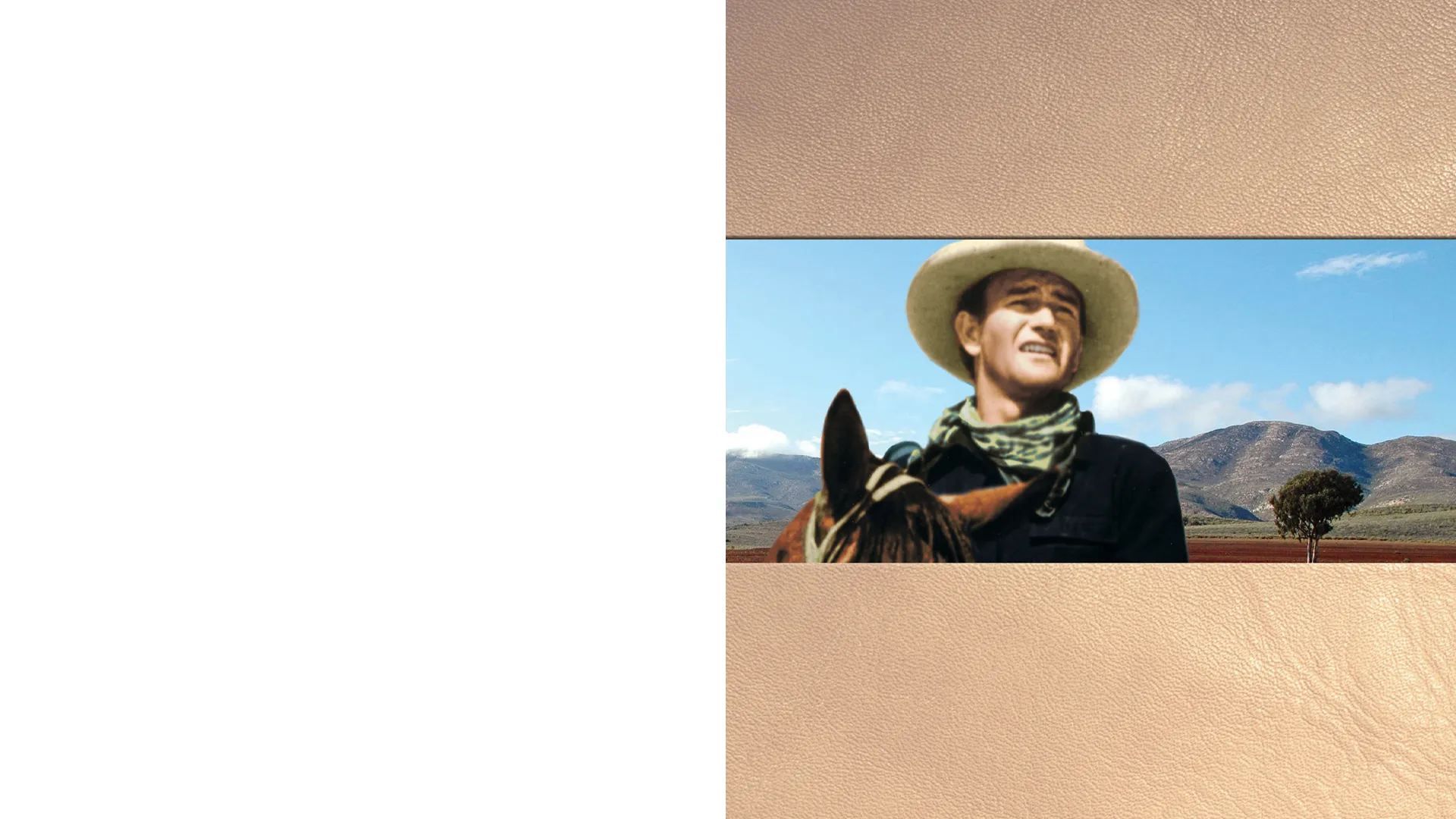 John Wayne: Cold Vengeance