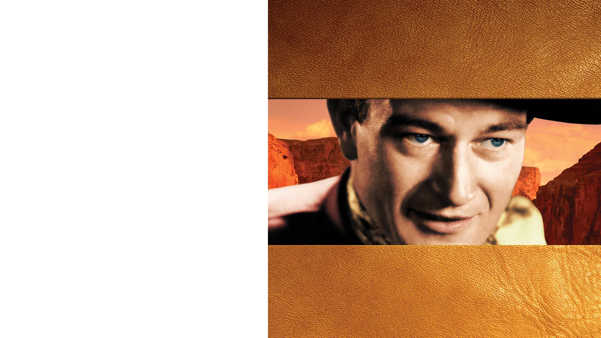 John Wayne: Stolen Goods