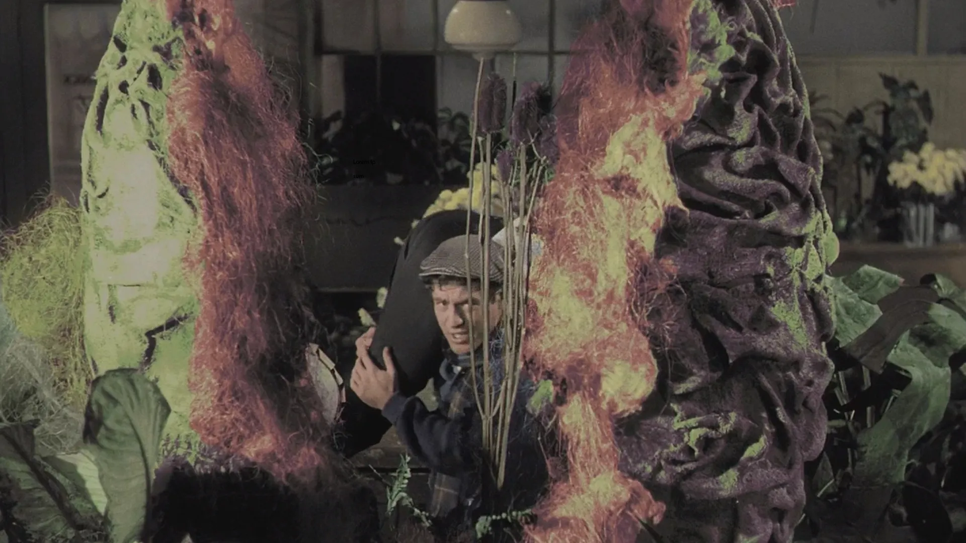 Little Shop of Horrors